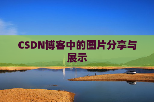 CSDN博客中的图片分享与展示